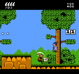 Asterix NES Editeur 006