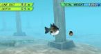 Image Fish On