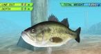 Image Fish On