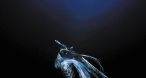 Image Dark Souls