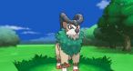 Image Pok&eacute;mon X