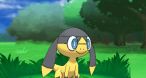 Image Pok&eacute;mon X