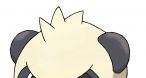 Image Pok&eacute;mon X