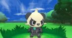 Image Pok&eacute;mon Y