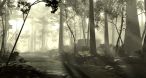 Image Tomb Raider