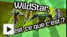 Vid�o : Wildstar - Trailer Qu'est ce que c'est ?