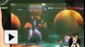 Vid�o : Dead or Alive 5 Plus : gameplay