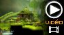 Vid�o : LostWinds2 : premier trailer