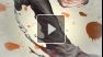 Street Fighter X Tekken : Hwoarang Teaser