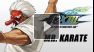 The King of Fighters XIII : Mr. Karate Command List
