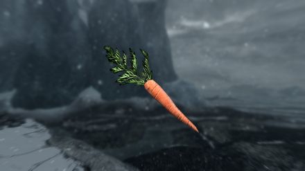 Lydia étant morte, voici la photo d'une carotte.